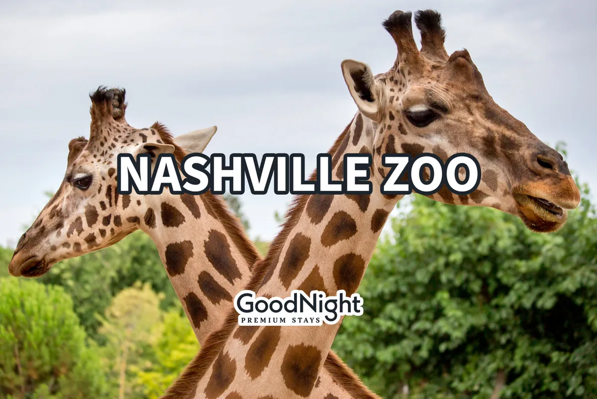 A pair of giraffes stands in a lush, green environment at the Nashville Zoo, offering a joyful and engaging glimpse into one of the city's top family destinations. The image evokes the spirit of outdoor adventure and educational fun for all ages.